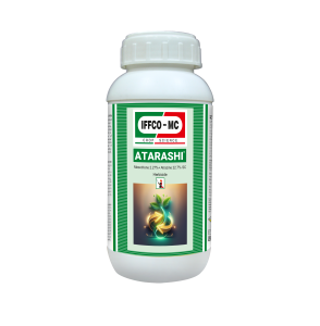 ATARASHI