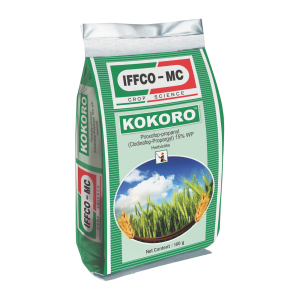 KOKORO