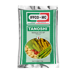 TANOSHI